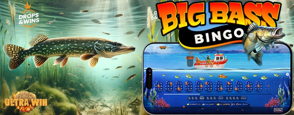 Slots, Live Casino & Fishing Games